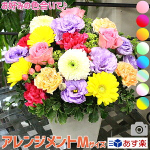 ひまわり 生花の人気商品 通販 価格比較 価格 Com