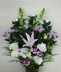 菊 生花の人気商品 通販 価格比較 価格 Com