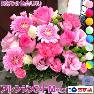  a  Mtg v[g t[  w i zCgf[ A   t[Mtg ~j RpNg 育 bZ[W j LO XX Ί fG