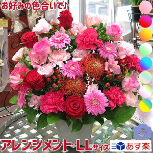 t[AWg   Mtg v[g t[ a hV̓ A   t[Mtg ~j RpNg 育 bZ[W j LO XX Ί