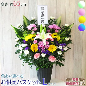 お供え お悔やみ 供花 アレンジ 命日 周忌 法事 仏花 花 菊 白菊 大輪 ユリ フラワー アレンジメント 楽天 白 初盆 お彼岸 お盆 花 和風 和花 洋花 即日 翌日配達 送料無料 送料込 画像配信 ボリューム 容器付 バスケット P■お供えバスケットL■