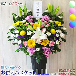   AW    @   e e   AWg t[ V~ ~ ފ ԏ  ~ a a m  zB   摜zM {