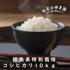 新米 コシヒカリ 10kg 送料無料 令和5年 福島県 特別栽培 こしひかり 米 白米 のし対応 ギフト