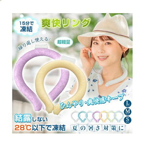 uO X}[g GRACX N[[O N[O lbNO 28°ȉ J[ ڐG ACX ⊴ M ΍  ₵ ACXoh LTCY r[Tt