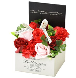 V{t[ MK-008 bh \[vt[ {bNX V{t[ J[  ~jTCY Mtg   j  ͂Ȃ v[g bh r[Tt