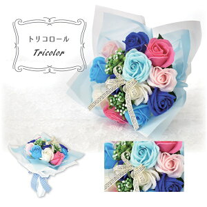 V{t[ SBL-11 gR[ ԑ \[vt[ u[P V{t[ 12J[ Jtu[P Mtg   j  ͂Ȃ v[g gR[ r[