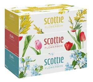 y18Zbgz{NVA SCT eBV[ t[{bNX 250g 1pbN(3) 18 eBV[y[p[ XRbeB eBbV e u ܂Ƃߔ G ~ h pi