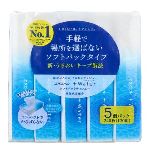 剤 GG[+Water vXEH[^[ \tgpbNeBV[ 240(120g) 1pbN(5) \tgeBbV GG[ eBbV eCbVy[p[ \tgpbN ӂ e