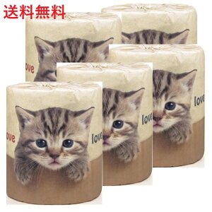 yPi5zѐ ςLDgCbgy[p[ 1[ 5 L ˂ e u ܂Ƃߔ  gCpi pi Օi r[Tt