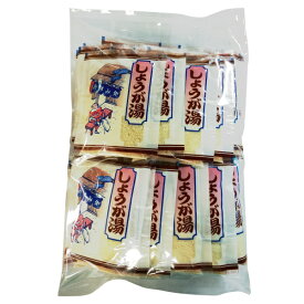 【価格リニューアル】徳用 しょうが湯 30袋しょうが湯 粉末 タイプ｜ ニットーリレー 国産 生姜 しょうが ジンジャー 生姜湯 冷え 対策 寒さ 温まる 温活 健康 腸活 代謝 日東食品工業