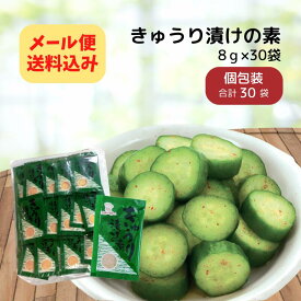 ＼18日はポイント10倍／徳用 30袋 きゅうり漬けの素 【メール便送料込み】ニットーリレー 粉末 タイプ きゅうり 漬物 簡単 塩 浅 漬け 塩 漬け物 漬物の素 昆布 唐辛子 スパイス ピリ辛 野菜 漬け 簡単 時短