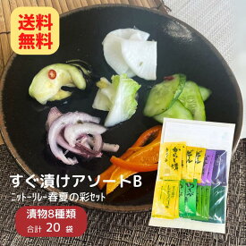 【4/1再販】すぐ漬けアソートB 春夏の彩セット 8種類 20袋入り ニットーリレー【メール便 送料無料】1000円ポッキリ かぶ 大根 キャベツ ナス きゅうり 浅 漬け 粉末タイプ 簡単 塩 大根 の 漬物 塩 簡単 食べ 比べ セット アソート