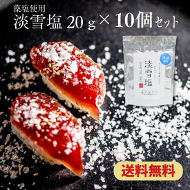 【クーポン発行中】藻塩 淡雪塩 20g(単品・セット) 日東食品工業 ニットーリレー 仕上げ 調味料 藻塩 雪 淡雪 塩 雪の結晶 ニットーリレー 寿司 焼き肉 ステーキ 鉄板焼き 和食 割烹料理 料亭 ワンランクアップ パフォーマンス