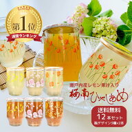 【クーポン発行中】【再販】ひやしあめ ・瀬戸内産 レモン果汁入り ひやしあめ 180ml瓶 2種 12本セット（…