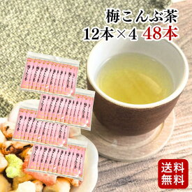 スティック梅こんぶ茶 48本入（12本×4袋セット）梅昆布茶 ｜ニットーリレー【メール便 送料無料】スティック 1000円ポッキリ こぶ茶 こんぶ 梅 クエン酸 疲労回復 塩分補給 二日酔い対策