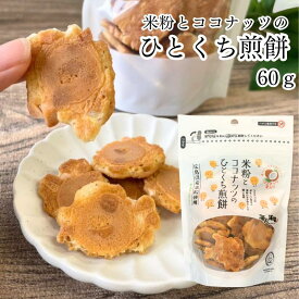 【価格・パッケージ リニューアル】米粉とココナッツのひとくち煎餅 60g 渡辺製菓｜海人の藻塩 おやつ 広島 お土産 煎餅 せんべい ココナッツ グルテンフリー 米粉 藻塩