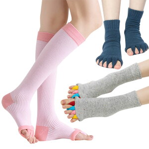 [ Zs[ \bNX Zbg X[sO\bNX Zs[\bNX wSJ 5{w nC\bNX fB[X Y wT|[^[ T|[^[ O\h C bNX t