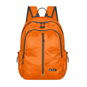 リュック 軽量 コンパクト デイパック ファーナス開閉 大容量 登山 遠足 ハイキング A4サイズ対応 サブバック リュックサック エコバッグ 撥水 レディース メンズ 子供 通学 旅行 レジャー