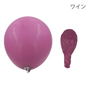 18C` SD 45cm F10 o[ 傫 wEKXΉ D }bg  a j z[p[eB[ fBXvC Cxg̏ p[eB[ObY NX}X xr