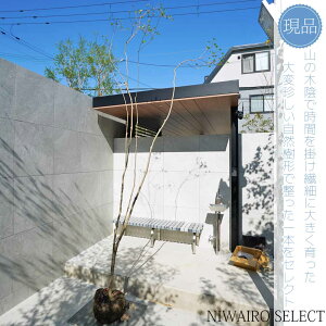 yizR̂y^hE_ccWzUP R`@H300 × }W120cm@ t V{c[ A   A a m K[fjO yz