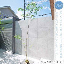 楽天市場】アオダモ 株 立ち 3m（植木｜ガーデニング・農業）：花 