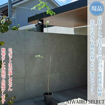 楽天市場】アオダモ（ガーデニング・農業｜花・ガーデン・DIY）の通販
