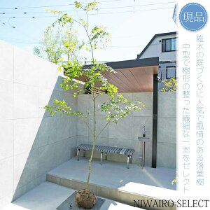 yizR̂yCn~Wzgt R`@H275 × }W160cm@ t V{c[ A   A a m K[fjO yz
