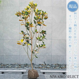 yizygWFz^CT{N ␫ R`@H180 × }W80cm@ Ύ V{c[ A   A a m K[fjO yz