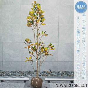yizygWFz^CT{N ␫ R`@H175 × }W75cm@ Ύ V{c[ A   A a m K[fjO yz