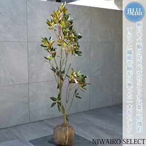 yizygWFz^CT{N ␫ R`@H140 × }W60cm@ Ύ V{c[ A   A a m K[fjO yz