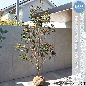 yizygWFz^CT{N ׎R ␫ R`@H230 × }W120cm@ Ύ V{c[ A   A a m K[fjO yz