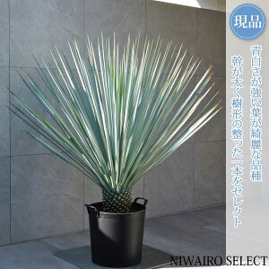 yizybJ M_zR`@H110 × }W120cmi14 × a17cmj@ Ύ hCK[f V{c[ A   A a m K[fjO 