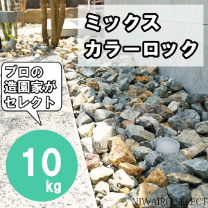 yI΁E΁z10kg ~bNXJ[ O[  bNK[f   K[f K[fjO Ԓd u 傫 傫TCY S^ Vv_ yz