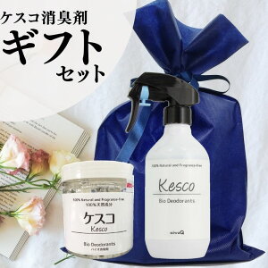 【ギフト】ケスコ ギフトセット ギフト 置き型 消臭スプレー 消臭ビーズ 380g 消臭剤 無香料 室内消臭 置き型 約3〜5カ月 靴 部屋 タバコ ゴミ箱