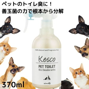 y ybg}[LOpzL PXRybggCpXv[ 370ml@Y  VRL LL ybgL Pʋ oCIL