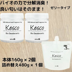 y Ȃ܂ƂߔzLKESCO(PXR) {165g2 + lߑւ480g1@oCIL VRL  [[^Cv gCL ① ʔ L ybgL