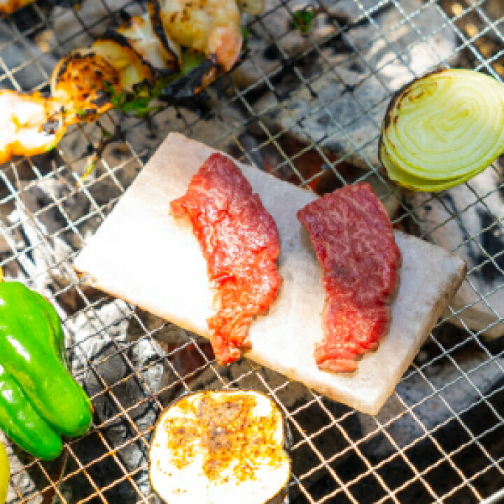 楽天市場】網デッキに置いて焼くだけ ヒマラヤ岩塩プレート240g 約13cm 