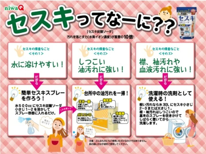 新しく着き 株式会社友和セスキ炭酸ソーダ クリーンシート リビング用 qdtek.vn 新しく着き 株式会社友和セスキ炭酸ソーダ クリーンシート リビング用 qdtek.vn