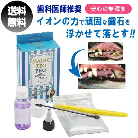 楽天市場 デンタルケア用品 人気ランキング1位 売れ筋商品
