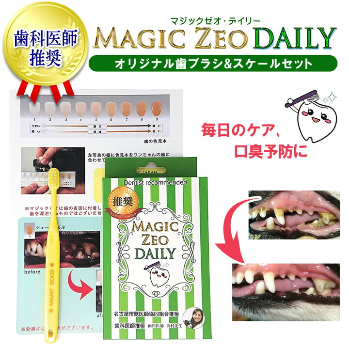 楽天市場 マジックゼオ デイリー 2点セット 40cc 犬用 ジェル ゼオライト 犬 歯 黄ばみ 汚れ 歯石取り 歯石 除去 歯磨き粉 歯周病 歯磨き 歯みがき はみがき ハミガキ ハブラシ 歯ブラシ 口臭ケア カップ スケール スケーラー ペット サニートレーディング ジャパン