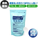 業務用 粉末 洗剤 油汚れ 1kg クリーンムーブ 計量スプーン セット 環境保全型除菌洗浄剤 アルカリ 手荒れ 洗浄剤 除菌 酵素系 酵素 洗濯 洗剤 洗浄 脱臭 弱アルカリ性 無香料 無添加 低温洗浄 布 ガーゼ 送料無料