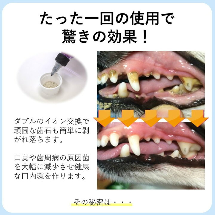 楽天市場 ただいまポイント 3倍 送料無料 マジックゼオプロ 歯石取り ゼオライト 4点セット 40cc ペット用 犬用 犬 歯 黄ばみ 汚れ 歯石 除去 歯磨き粉 歯周病 歯磨き 歯みがき はみがき ハブラシ 歯ブラシ 口臭ケア ブラシ カップ スケール スケーラー ペット 楽天市場 ただいまポイント 3倍 送料無料 マジックゼオプロ 歯石取り ゼオライト 4点セット 40cc ペット用 犬用 犬 歯 黄ばみ 汚れ 歯石 除去 歯磨き粉 歯周病 歯磨き 歯みがき はみがき ハブラシ 歯ブラシ 口臭ケア ブラシ カップ スケール スケーラー ペット