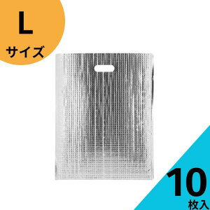 ۗobO 10yۗ܃~NpbNL e[vt tzۗ ۗ A~ N[[obO N[ p Vo[ eCNAEg 킢   IV X^C