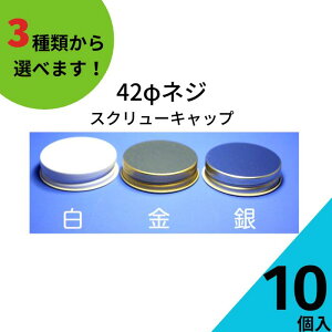 �X�N�����[�L���b�v �ӂ��̂� 10����y42�l�W�L���b�v �����L���b�v�z�y�l�R�|�X�Ή��z ���ɕr �������т� �K���X�r �K���X�ۑ��e�� �ۑ��r �͂��݂e�� �L���b�v �t�^ �X�N�����[ �W ��