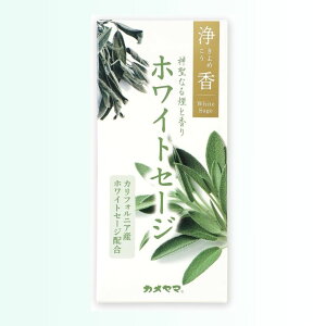 zCgZ[W    򉻗p J} LRE  XeBbN tbV K ґz A} CZX