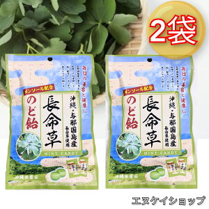 y1000~|bLIz ^ߍY gp ̂ǈ 70g ×2  ̖ | ꂨyY