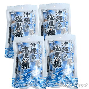 ̉ 100g×4 C XJVE  {܊_T ꗷs ό ꂨyY