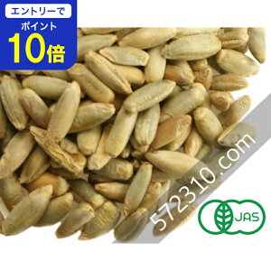 yGg[œXSi|Cg10{I 11/20 20:00`11/27 1:59zI[KjbNECij 2KgL@ C L@JASF