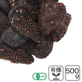 オーガニック・ドライ ストロベリー（リンゴ果汁使用） 500g /トルコ産 有機ドライストロベリー 有機いちご