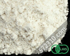 yGg[œXSi|Cg10{I 11/20 20:00`11/27 1:59zI[KjbNEXyg 1Kg AJYL@JASF L@ Xyg Ñ㏬ Central Milling Zg~O